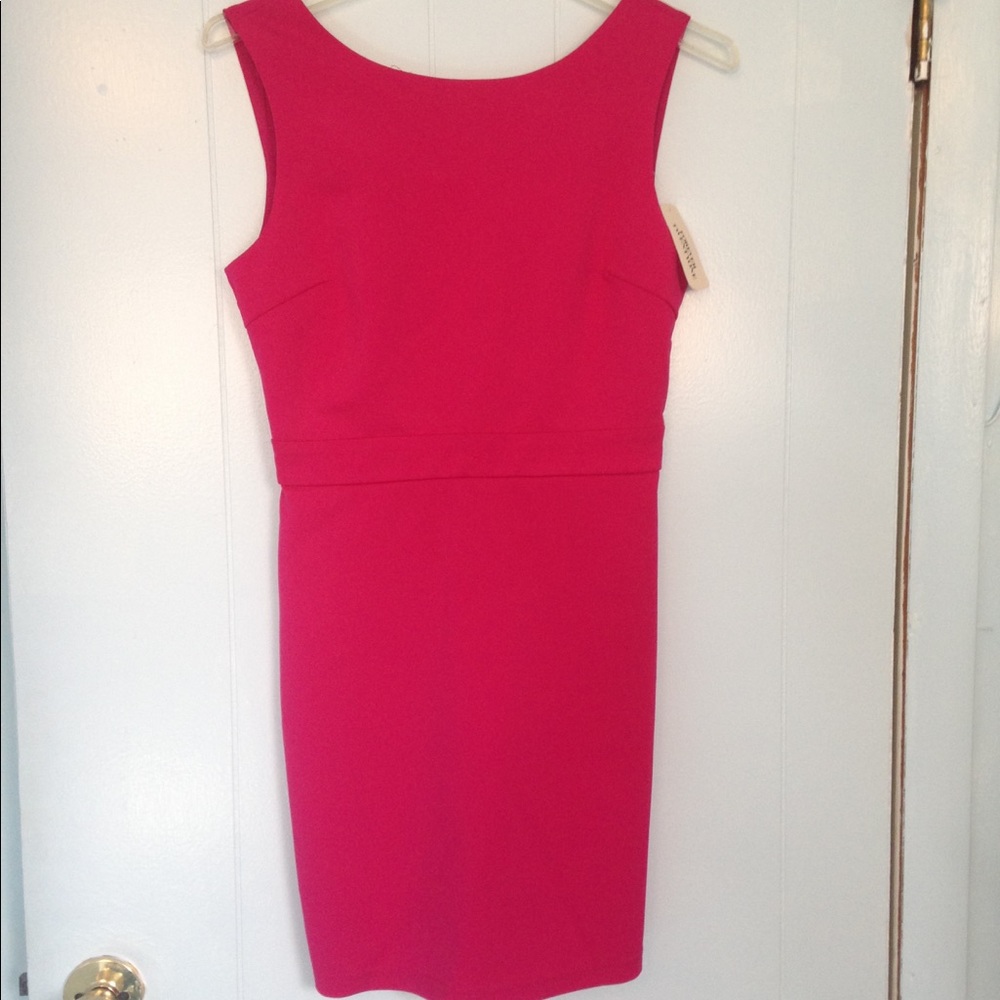 Forever 21 Fushia Dress